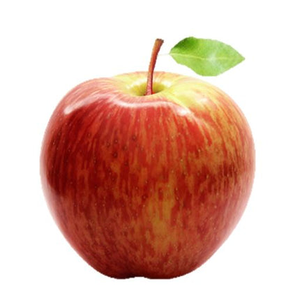 MANZANA SANTA ROSA IMPORTADA