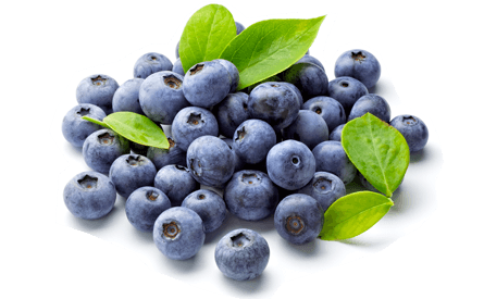 ARÁNDANO VENTURA ALL NATURAL