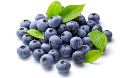 ARÁNDANO VENTURA ALL NATURAL