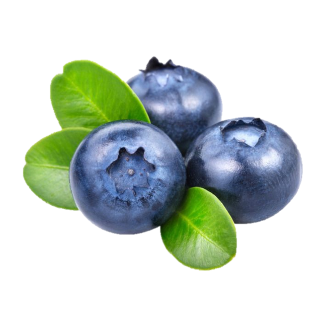 ARÁNDANO VENTURA ALL NATURAL