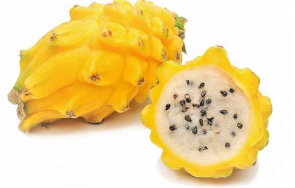 PITAHAYA